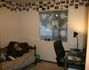 My Small Room
